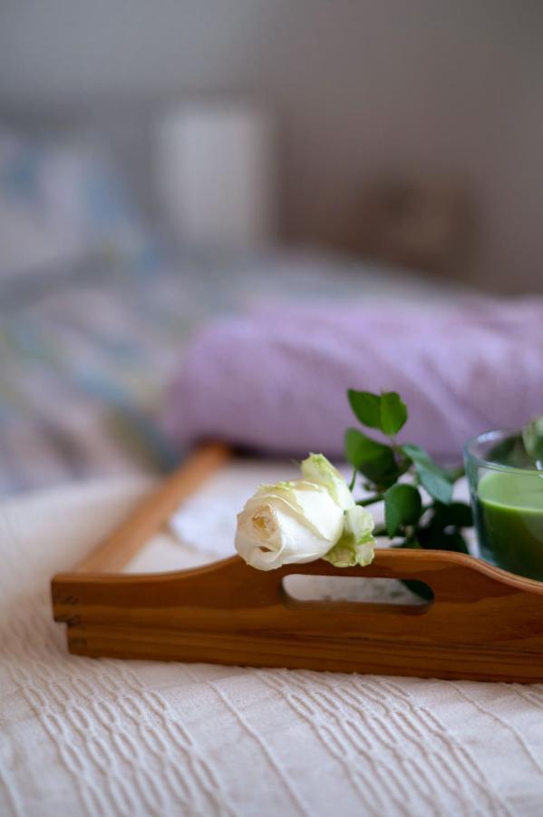 Vita Natura With Sauna And Jacuzzi Pihovec المظهر الخارجي الصورة