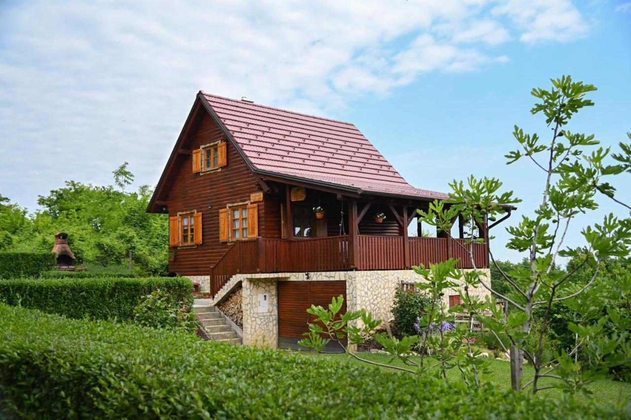 Vita Natura With Sauna And Jacuzzi Pihovec المظهر الخارجي الصورة