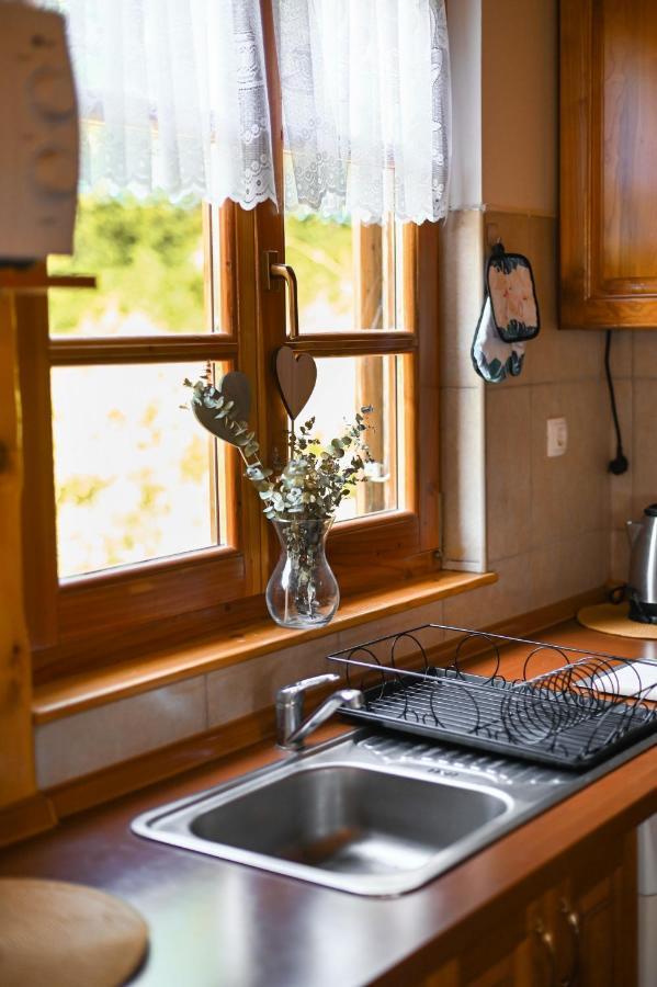 Vita Natura With Sauna And Jacuzzi Pihovec المظهر الخارجي الصورة