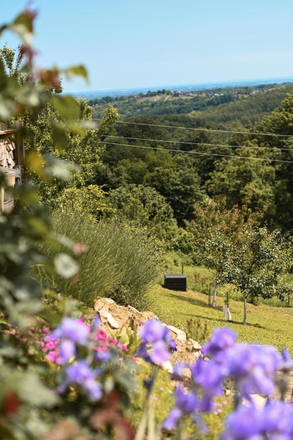 Vita Natura With Sauna And Jacuzzi Pihovec المظهر الخارجي الصورة
