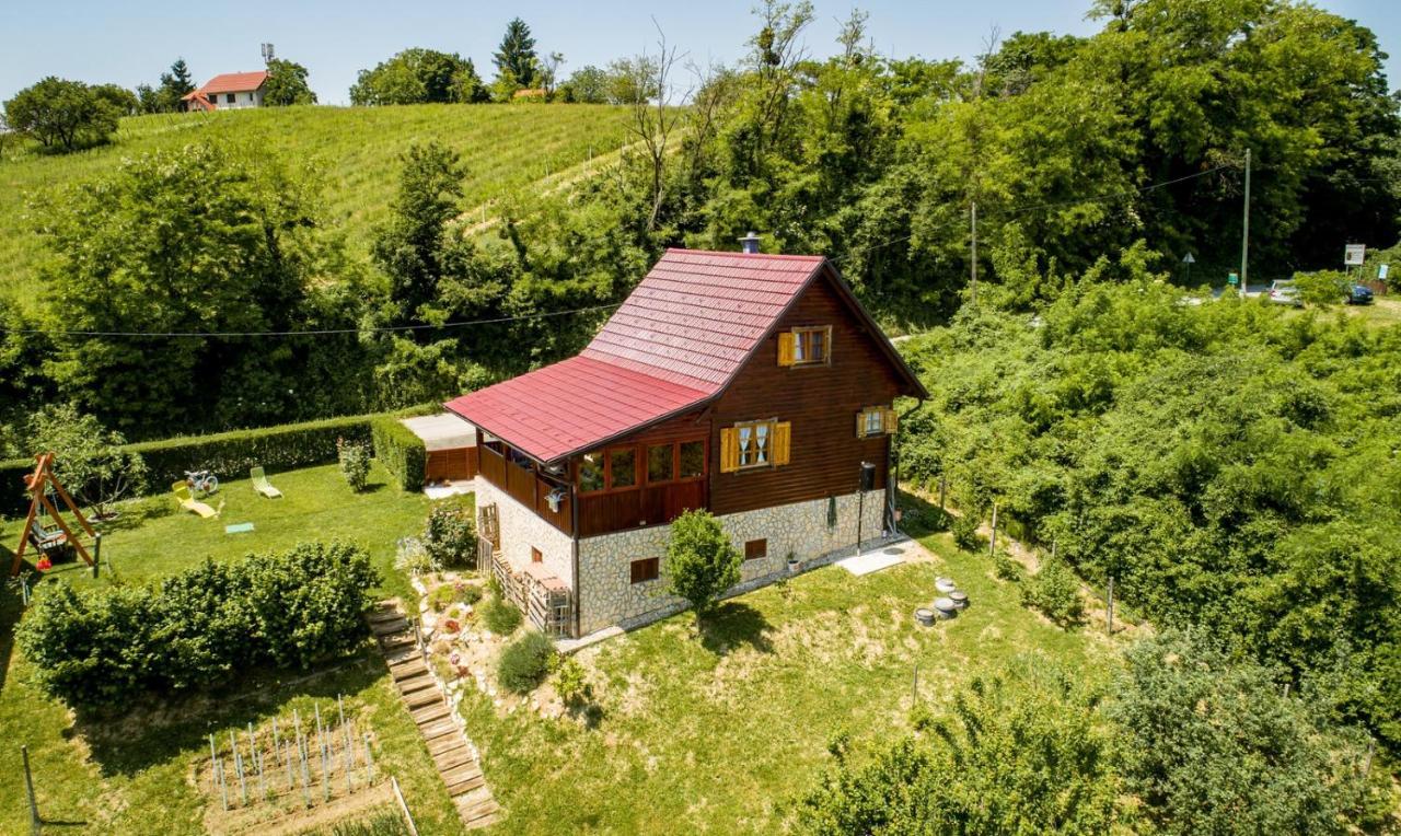 Vita Natura With Sauna And Jacuzzi Pihovec المظهر الخارجي الصورة