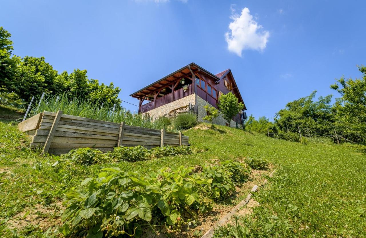 Vita Natura With Sauna And Jacuzzi Pihovec المظهر الخارجي الصورة