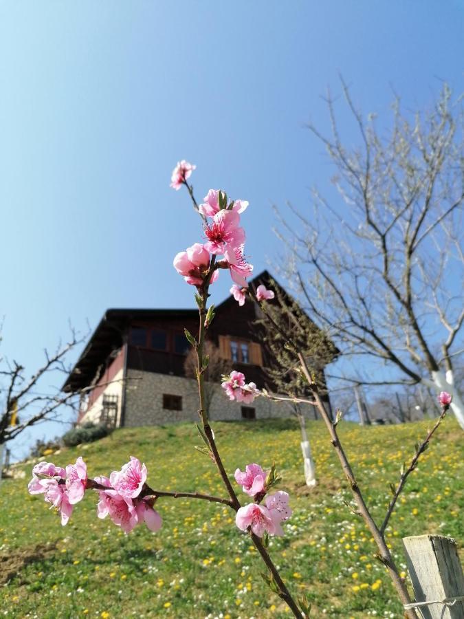 Vita Natura With Sauna And Jacuzzi Pihovec المظهر الخارجي الصورة