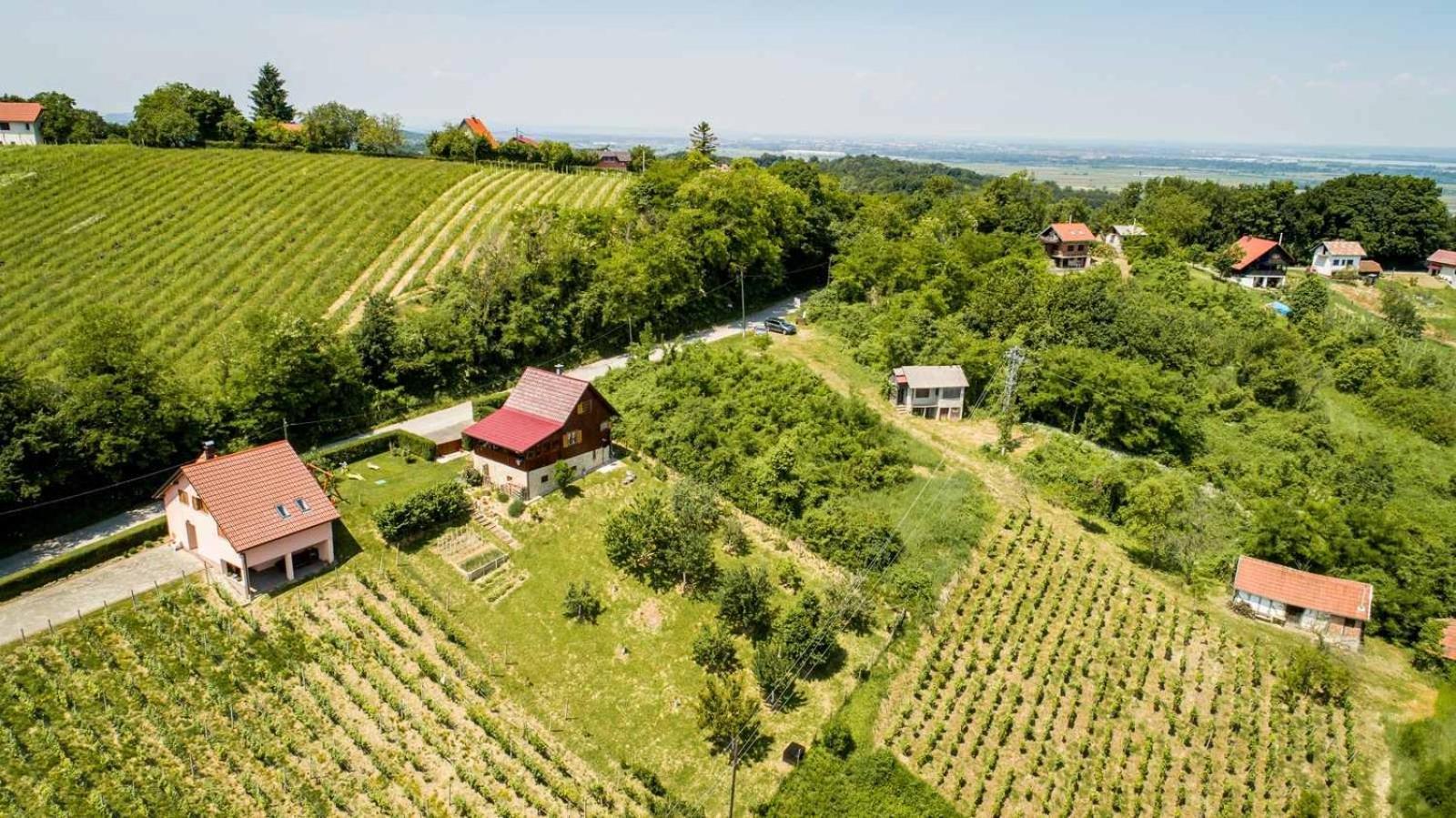 Vita Natura With Sauna And Jacuzzi Pihovec الغرفة الصورة
